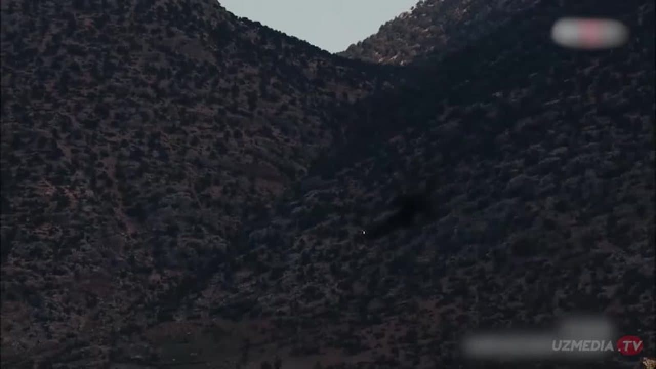 Qashqirlar Makoni: Vatan