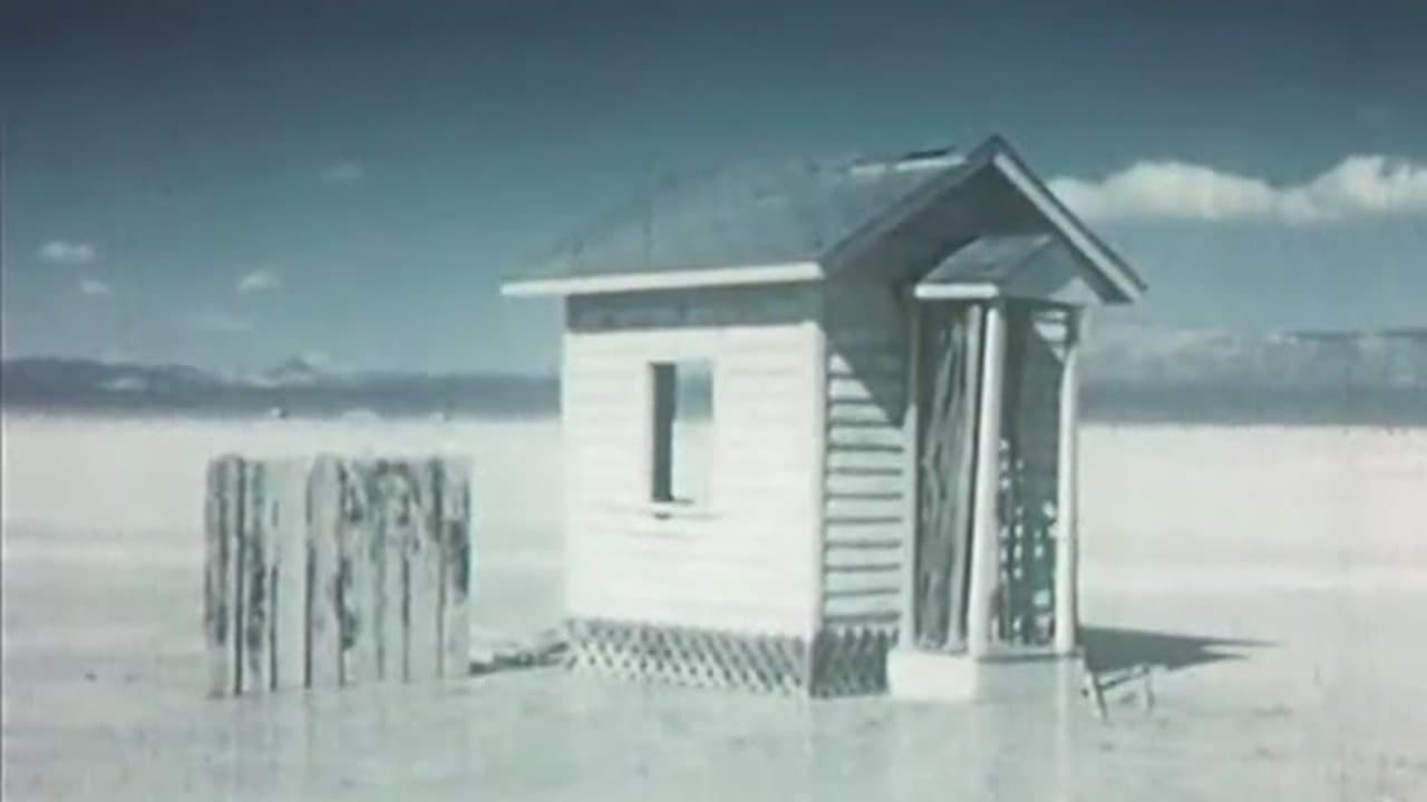Panorama Ephemera