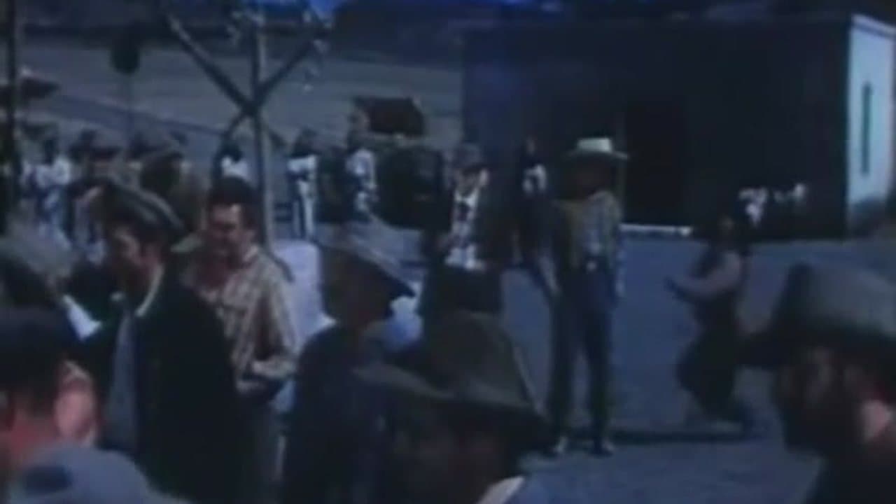 The Young Land