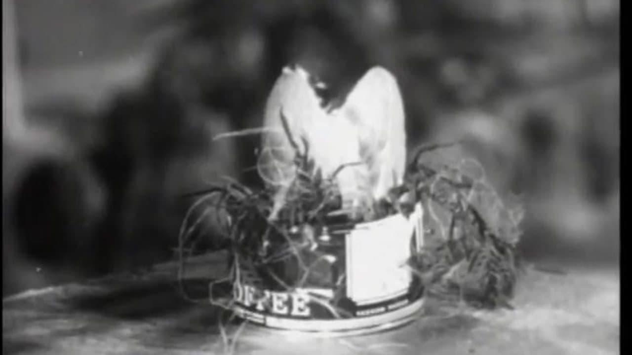 The Little Shop of Horrors