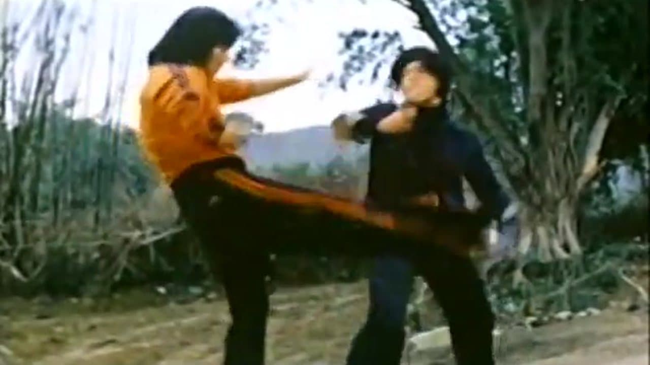 Image of Bruce Lee