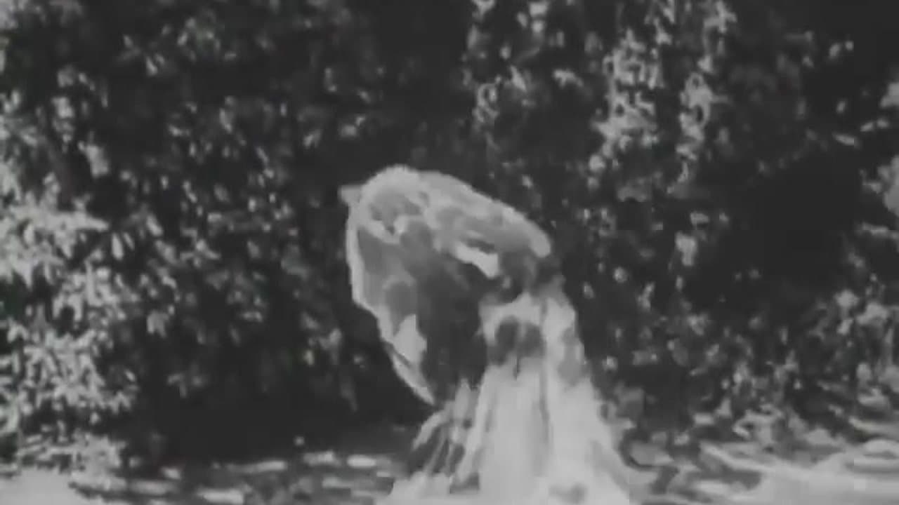 Assorted Silent Comedy Shorts 9