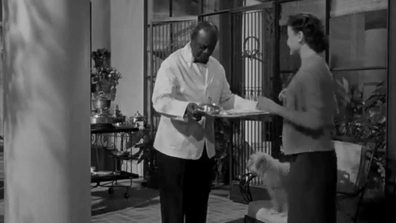 Queen Bee (1955) Joan Crawford, John Ireland, Betsy Palmer, Barry Sullivan