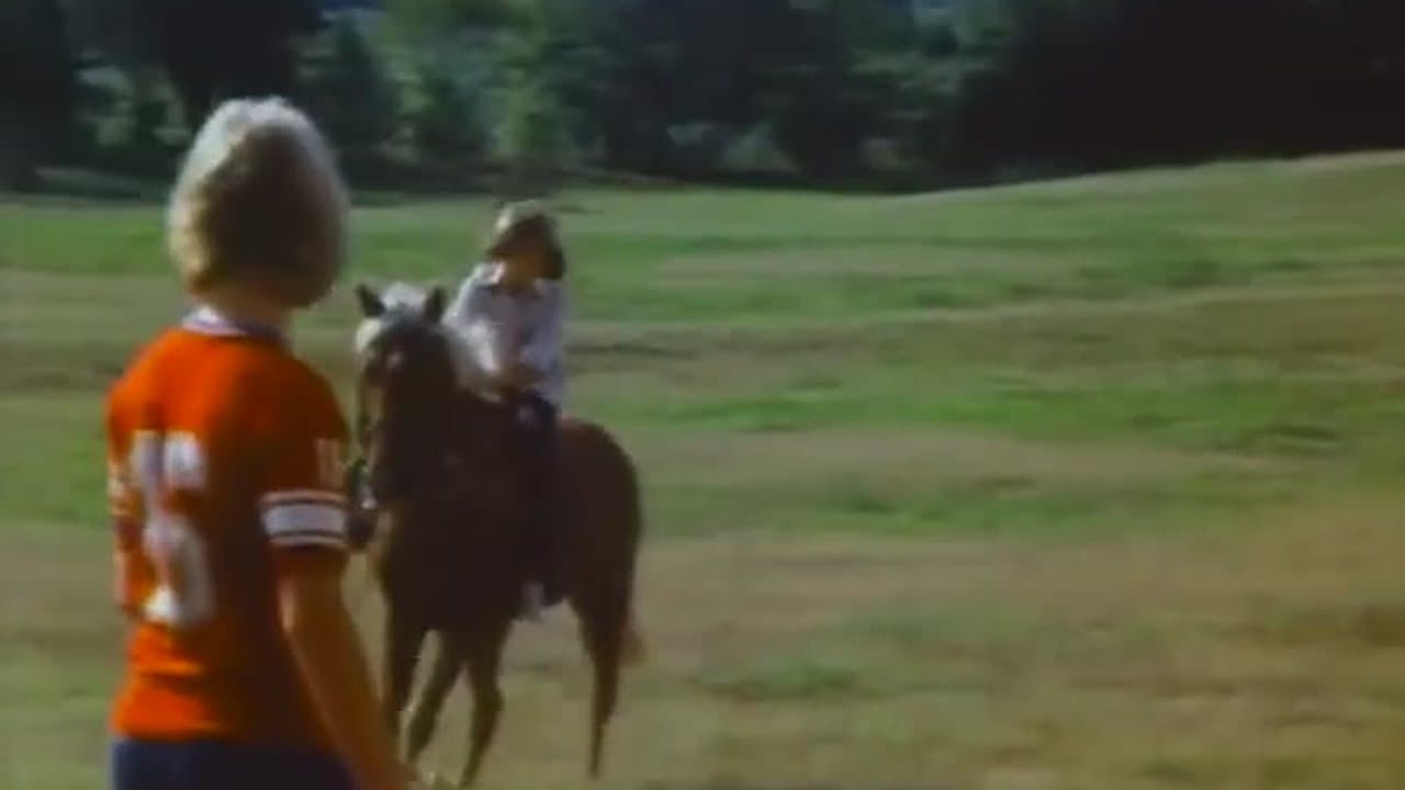 A Real American Hero 1978
