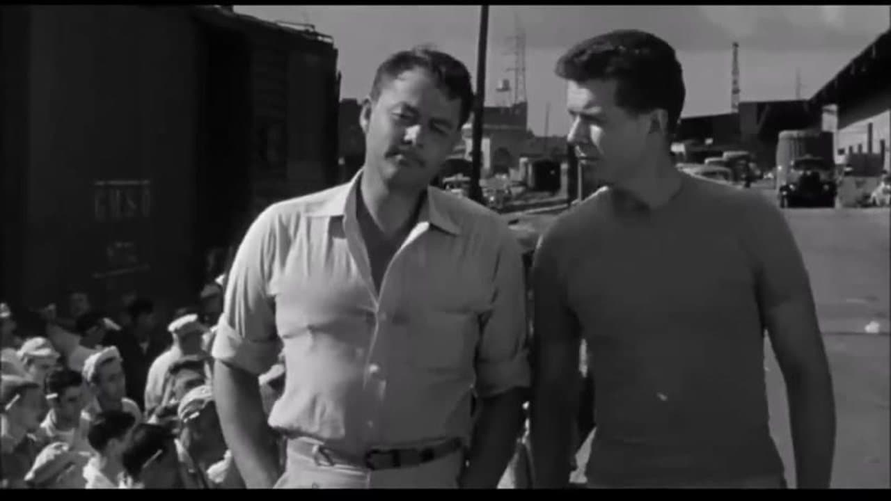 New Orleans Uncensored (1955) Arthur Franz, Beverly Garland - Film Noir