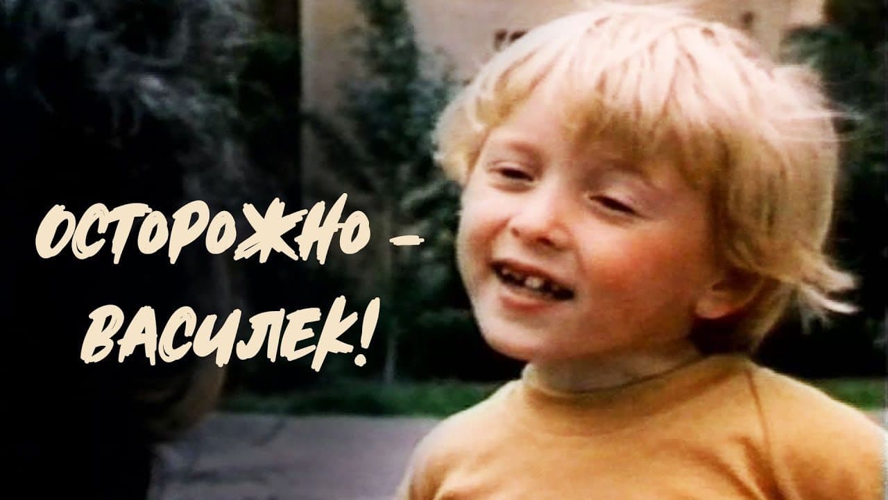 Осторожно - Василек!