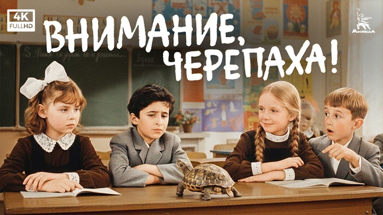 Attention, Turtle!