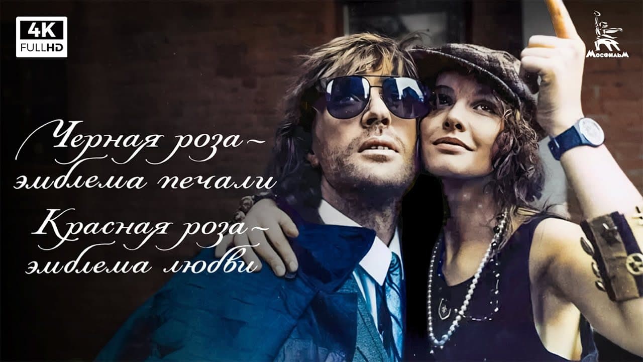 Черная роза