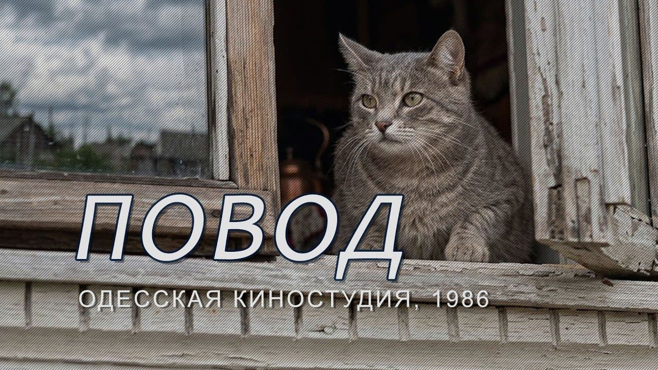 Повод