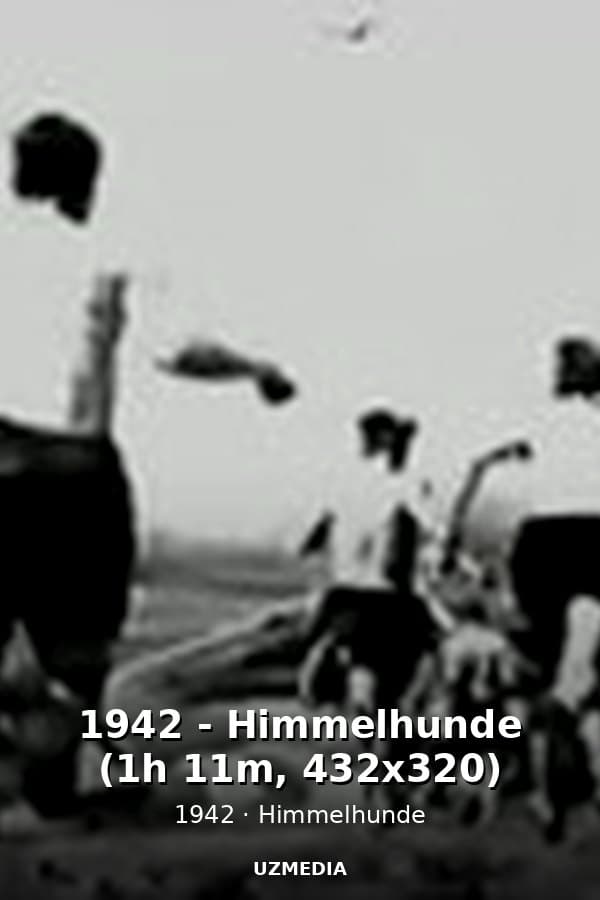 1942 - Himmelhunde (1h 11m, 432x320) — Movie 1942