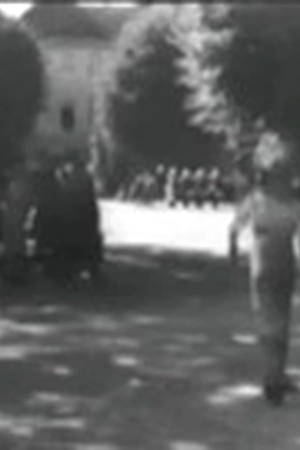 1942 Zwischen Himmel Und Erde