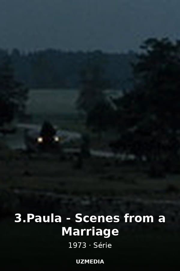 3.Paula - Scenes from a Marriage — Kino 1973