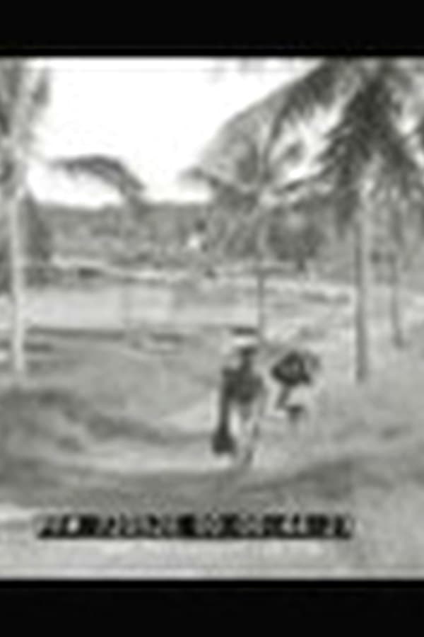 PAPUA AND KALABAHAI 1933 PAPUA NEW GUINEA & KALABAHI INDONESIA TRAVELOGUE 72052e — Movie 1933