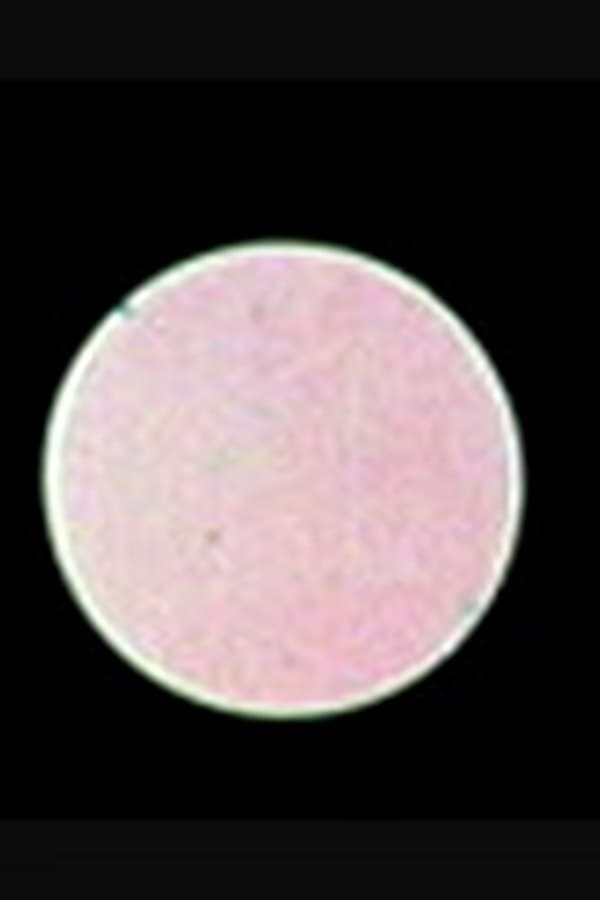 Abstraction — Фильм 1968