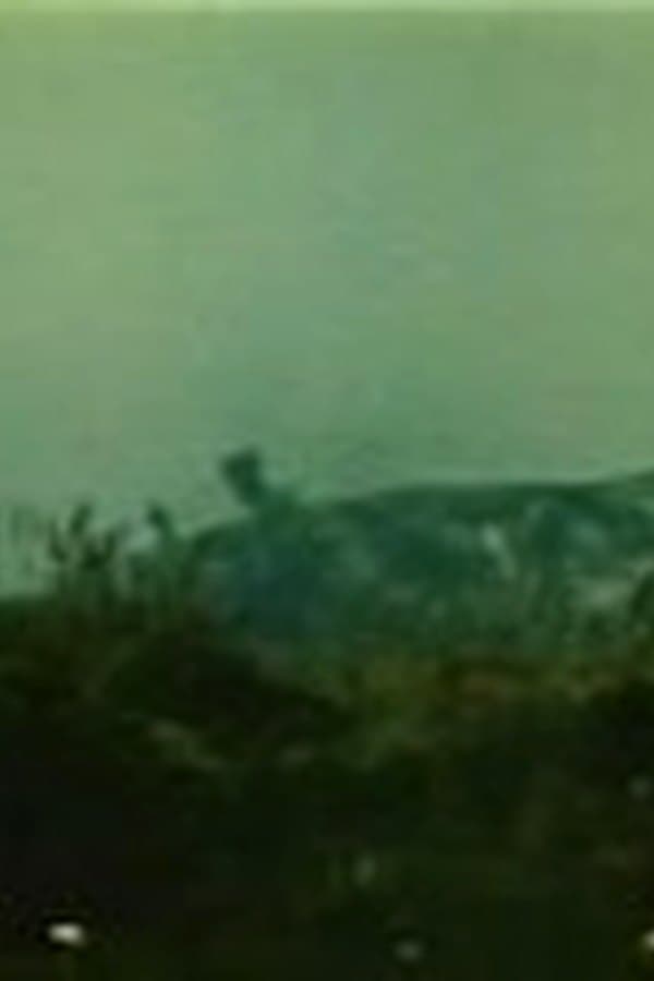 Airpower at Khe Sanh — Movie 1968