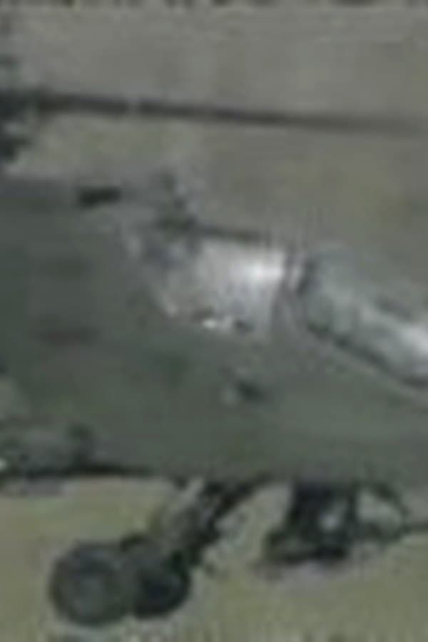 US Army aviation safety — Kino 2004