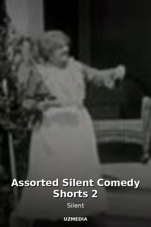 Assorted Silent Comedy Shorts 2 — Movie 