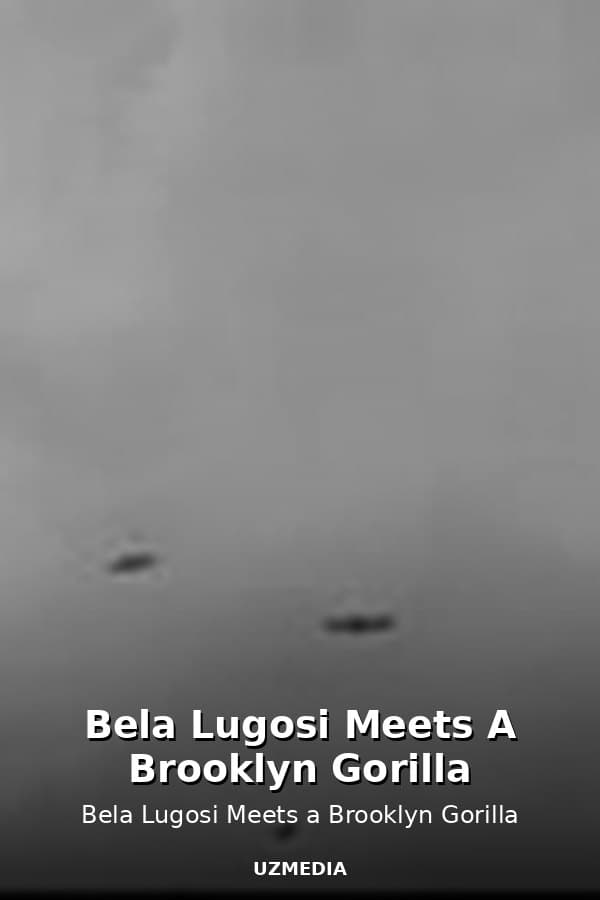 Bela Lugosi Meets A Brooklyn Gorilla — Kino 
