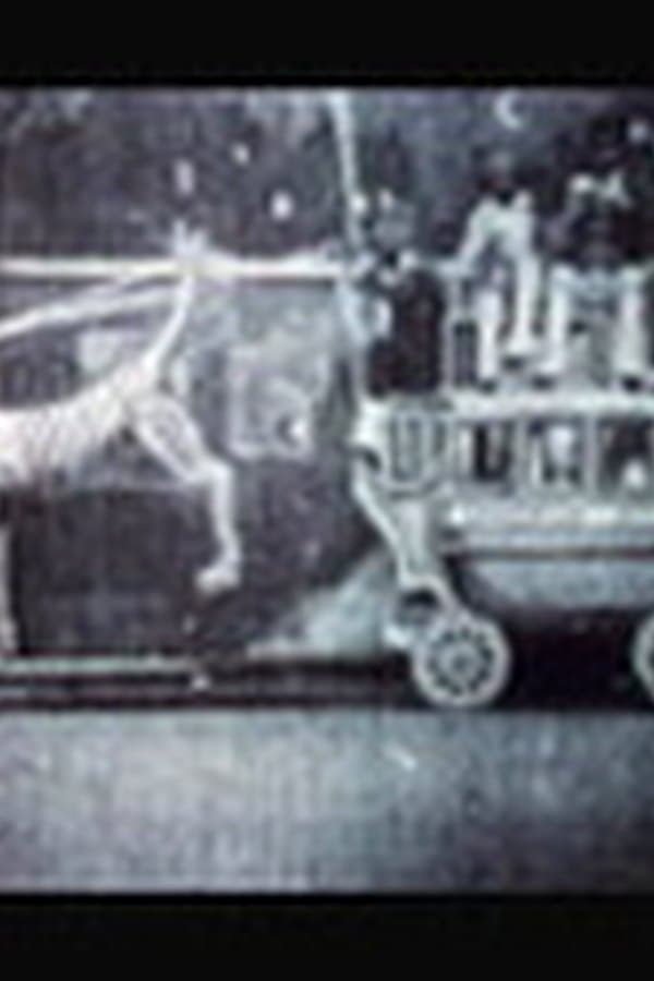 Black Shadows on a Silver Screen — Kino 1975