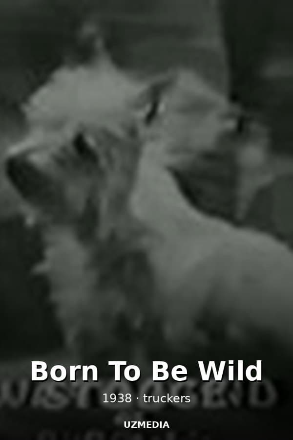 Born To Be Wild — Kino 1938