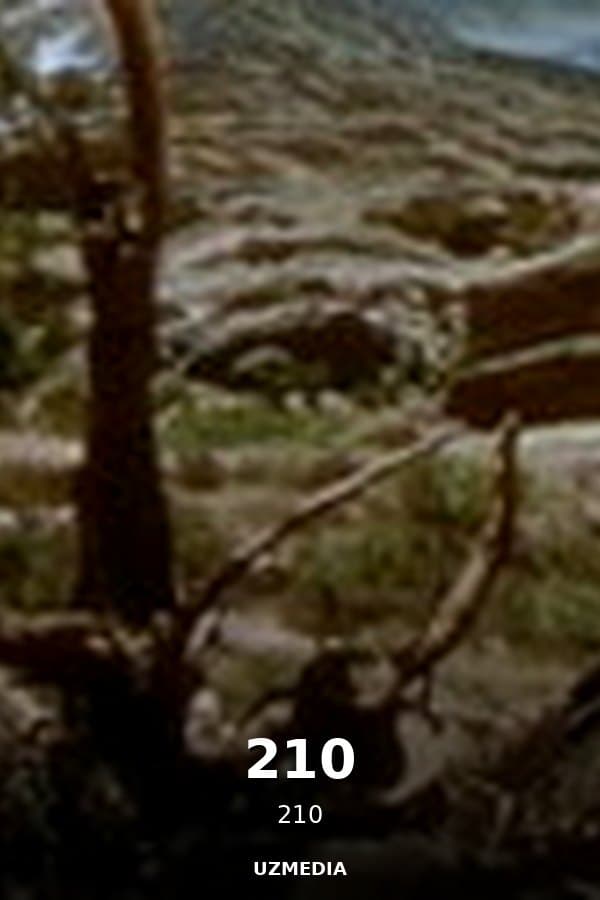 210 — Movie 