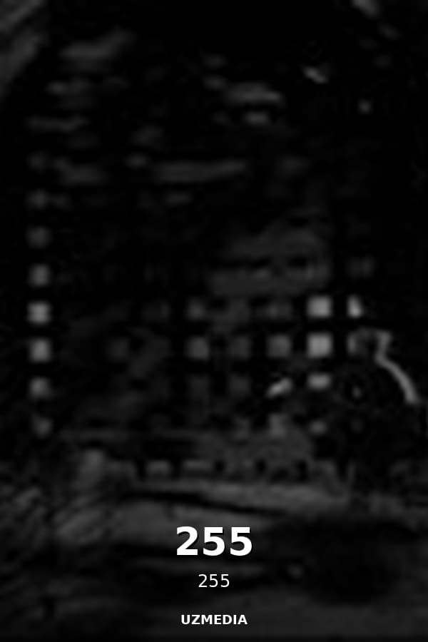 255 — Movie 