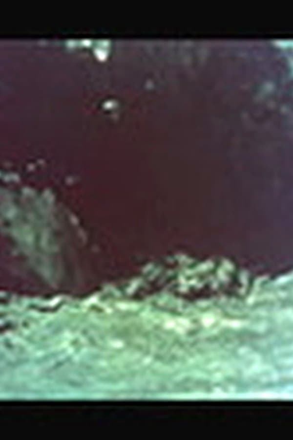 Dream of the Wild Horses — Фильм 1960