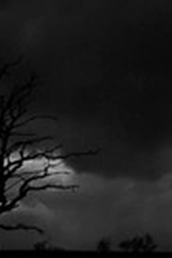 Escape from Dartmoor