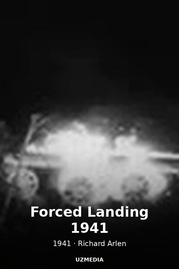 Forced Landing 1941 — Movie 1941