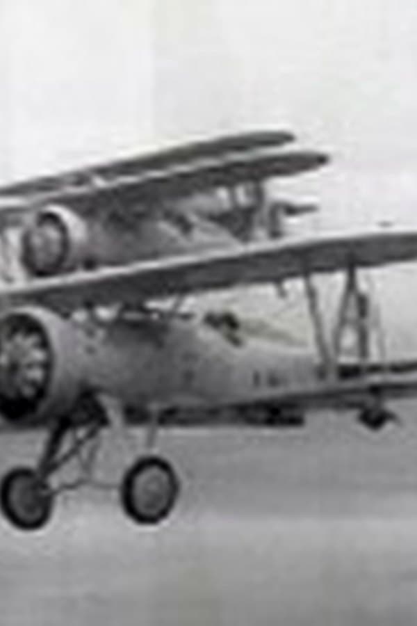 Formations — Kino 1936