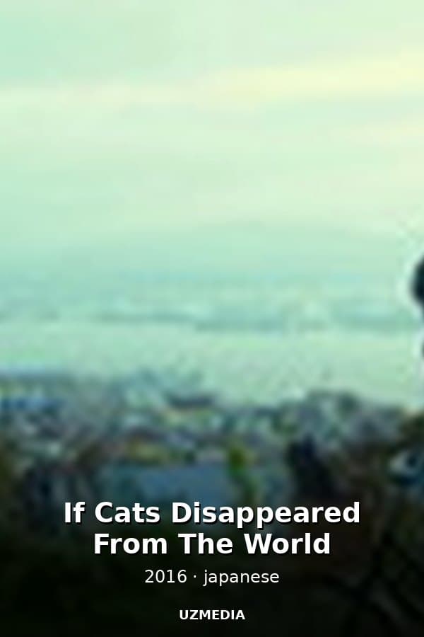 If Cats Disappeared From The World — Kino 2016