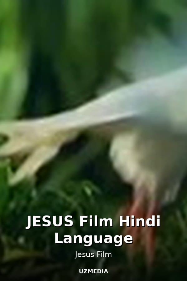 JESUS Film Hindi Language — Movie 