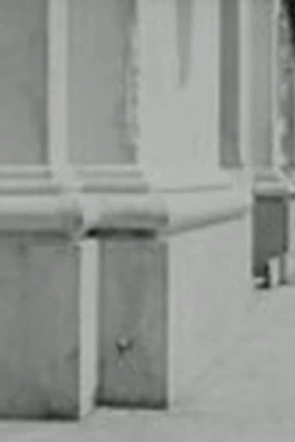 Just Neighbors — Kino 1919