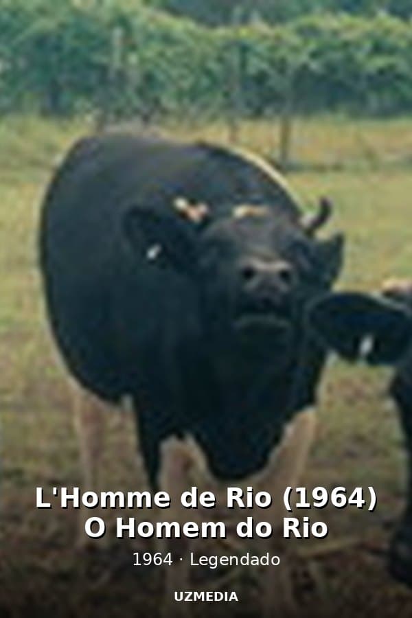 L'Homme de Rio (1964) O Homem do Rio — Фильм 1964