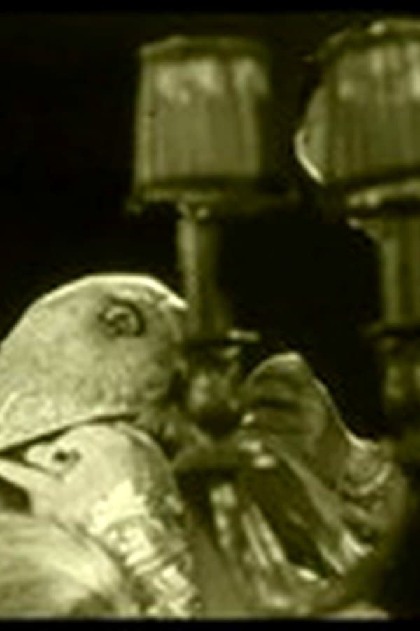 Maman Colibri