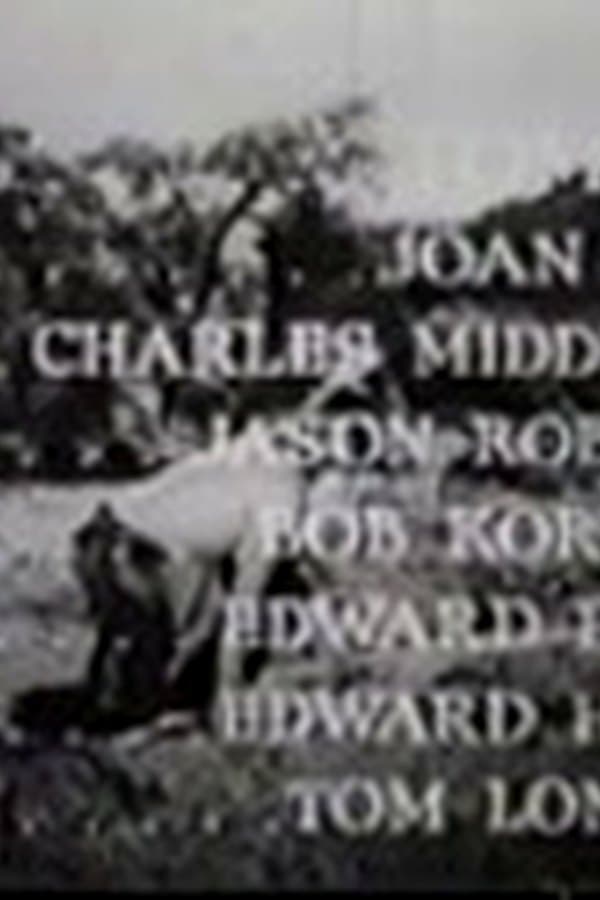 Miracle Rider 12 — Movie 