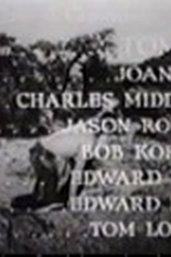 Miracle Rider 15 — Movie 