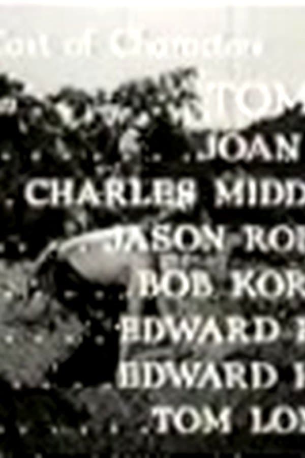 Miracle Rider 2 — Movie 