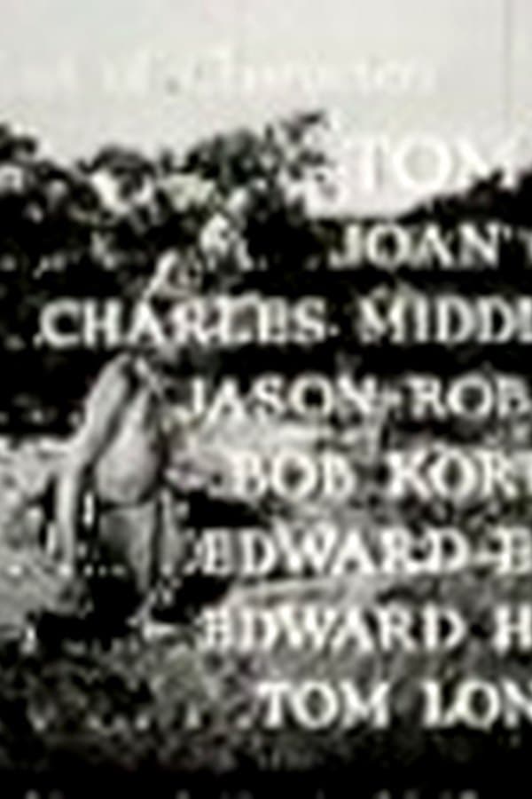 Miracle Rider 3 — Movie 