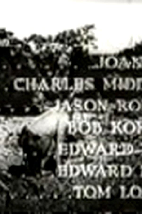 Miracle Rider 6 — Movie 