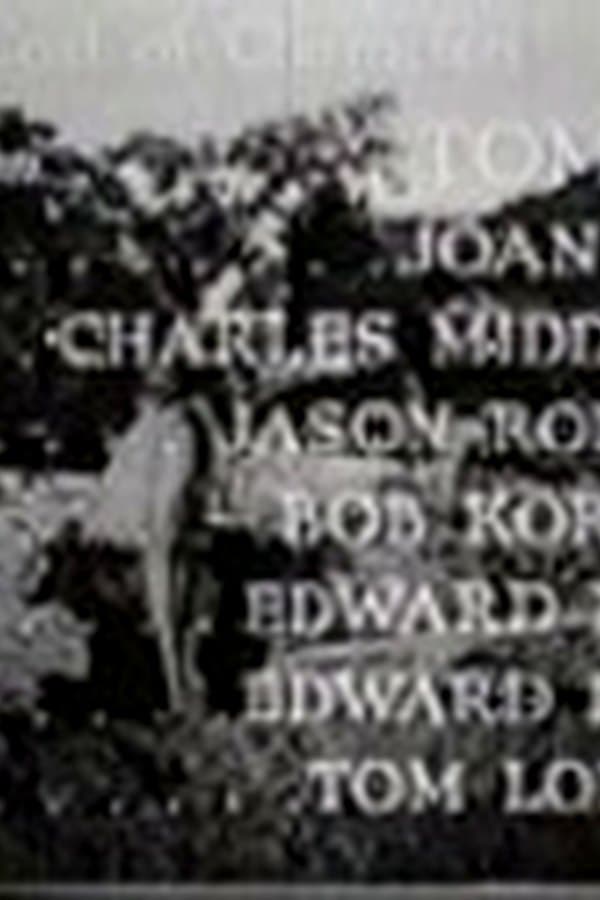 Miracle Rider 7 — Movie 