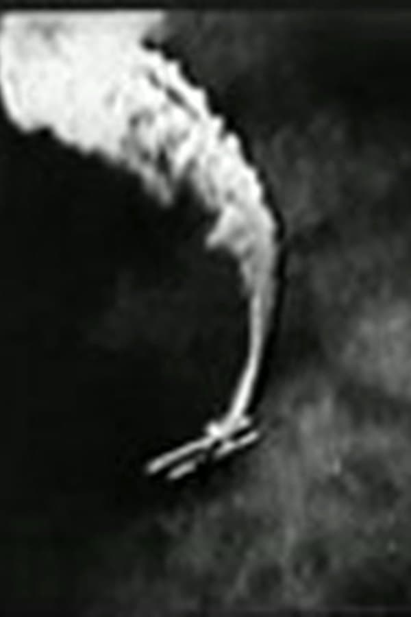 Mystery Squadron: Chapter 1 - The Black Ace — Kino 1933
