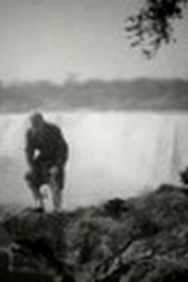 Niagara Falls — Фильм 1941