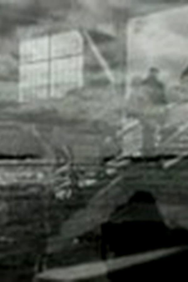Normandy Invasion — Kino 1945