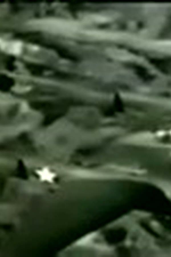 P-38 Flight Characteristics — Movie 1943