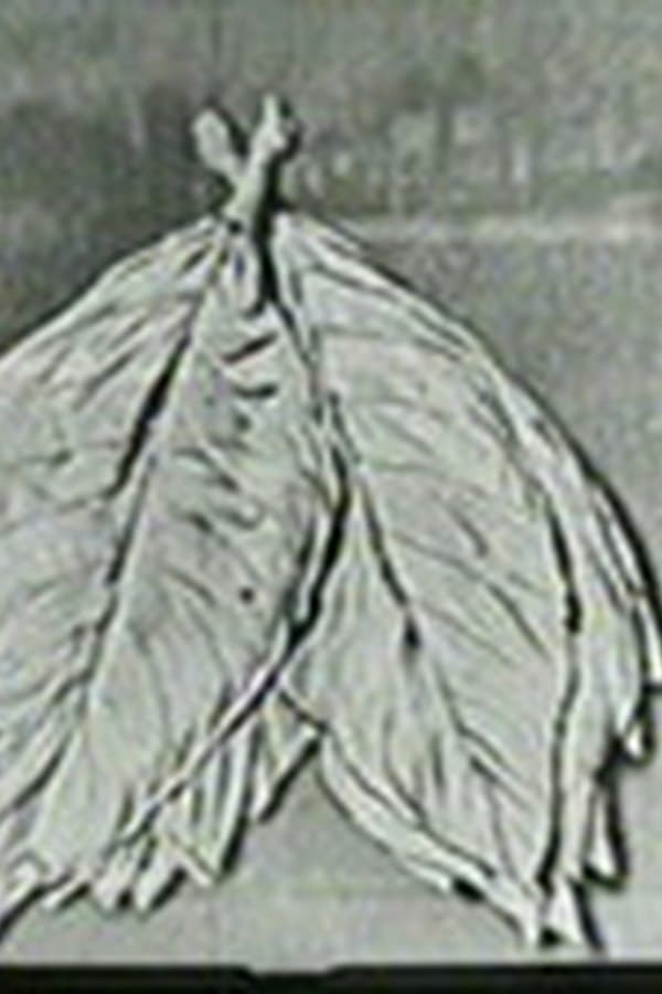 1954 of The Perry Como Show — Mini-serial 1954