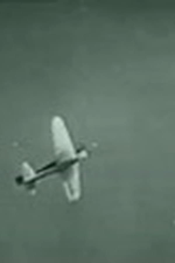 Recognition of the Japanese Zero Fighter — Movie 1943