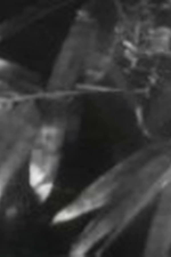 Song Of Ceylon — Kino 1934