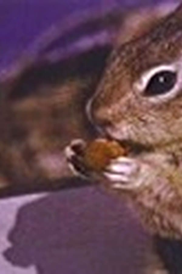 Squeak the Squirrel — Movie 1957