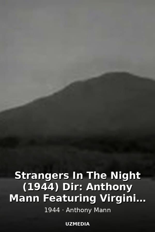 Strangers In The Night (1944) Dir: Anthony Mann Featuring Virginia Grey - Film Noir — Movie 1944